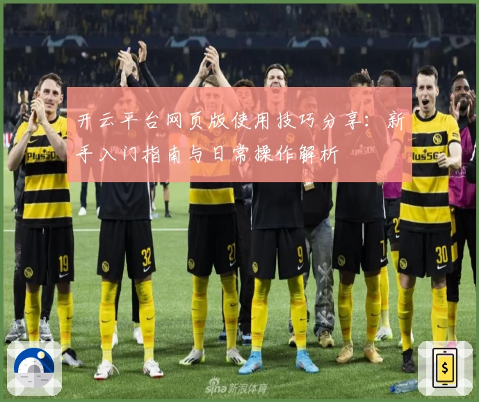 开云平台网页版使用技巧分享：新手入门指南与日常操作解析